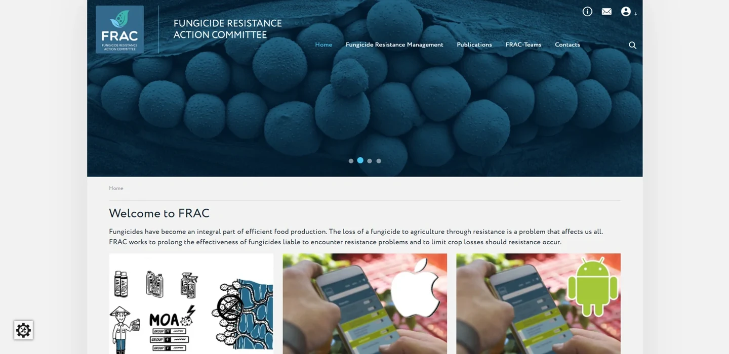 Screenshot der Website von FRAC